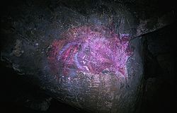 Pintura rupestre cueva del reguerillo.jpg