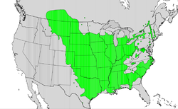 Populus deltoides range map.png