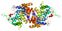 Protein AKR1C1 PDB 1ihi.png