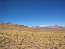 Pular Volcano Chile 015.jpg