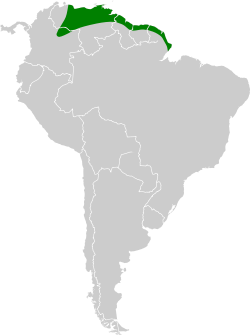       Distribución continental del zanate caribeño.
