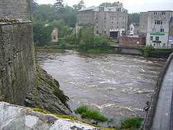 River Suir from Cahir Castle.jpg