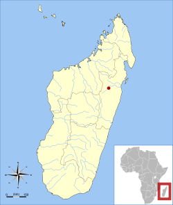 Distribution of Salanoia durrelli[1] 