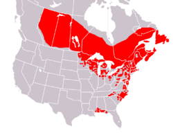 Distribución de Sarracenia purpurea