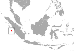 Distribución del macaco de Siberut