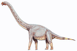 Sonorasaurus1DB.jpg