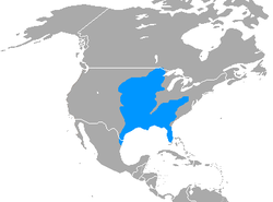 Mapa de distribución Spilogale putorius