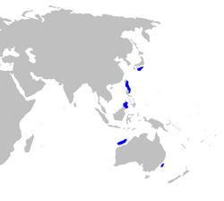 Zona de distribución de las poblaciones de Squaliolus aliae.