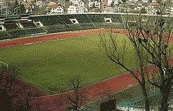 Stadionul Ion Moina.JPG