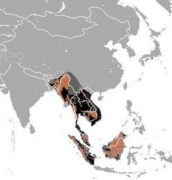 Distribución del oso malayo (marrón - presencia actual, negro - extinto, gris oscuro - presencia dudosa)