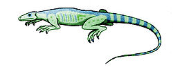 Thadeosaurus.jpg