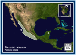 Mapa de distribución de Tlacuatzin canescens