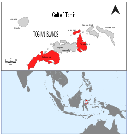 Localización de las islas Togian con las islas donde habita Z. somadikartai en color rojo.