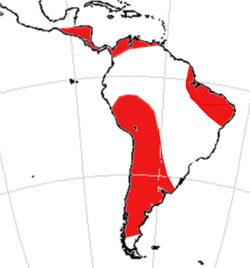 Range of Toxodontidae based on fossil record
