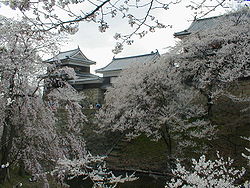 Ueda Castle.JPG