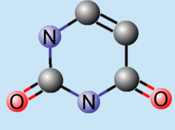 Estructura química del uracilo.
