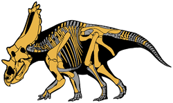 Utahceratops gettyi.png