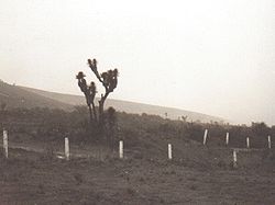 Valle de Tehuacán.jpg
