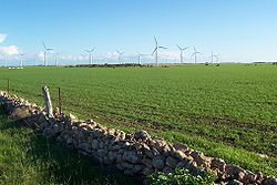 Wattle Point wind farm.jpg