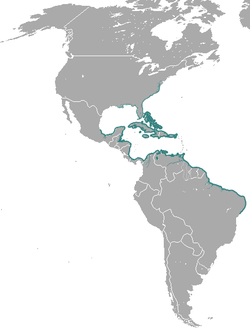 Distribución del manatí del Caribe