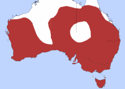Distribución de Acanthiza chrysorrhoa en Australia