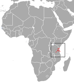 Distribución del gálago de Zanzibar