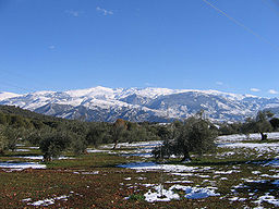 Nevadawikipedia.jpg