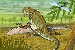 Pantelosaurus.jpg