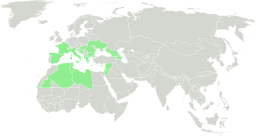 Distribución de S. leucanthemifolius.