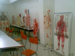Universidad de Pamplona - Laboratorio de Morfología - Foto N°1.jpg