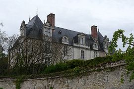 Chateau noizay.jpg
