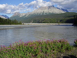 Paisaje del delta O'Connor Creek en el río Tatshenshini en el noroeste de la Columbia Británica