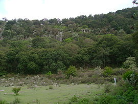 Vista del Parque Joya La Barreta