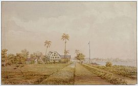 Tropenmuseum Royal Tropical Institute Objectnumber 3348-17 De plantages 'Nijd en Spijt' en 'Alkma.jpg
