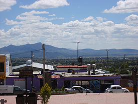 Pachuquilla