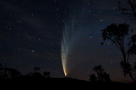 Comet P1 McNaught02 - 23-01-07.jpg
