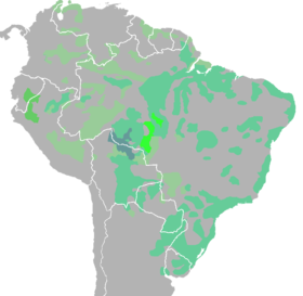 Equatorial Languages (Greenberg).png