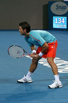 Fernando Verdasco at the 2009 Brisbane International.jpg