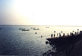 Godavari river.jpg