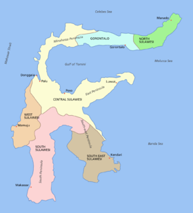 Localización del golfo de Tomini