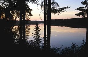 Vista del lago Pine (marzo 1998)
