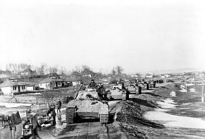 Bundesarchiv Bild 183-J24359, Rumänien, Kolonne von Panzer V (Panther).jpg