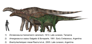 Dicraeosaurids BW.png