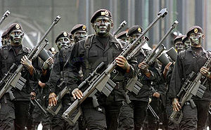 Fuerzas Especiales Michoacán.jpg