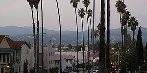 Hollywood Hills from Normandie Avenue.jpg