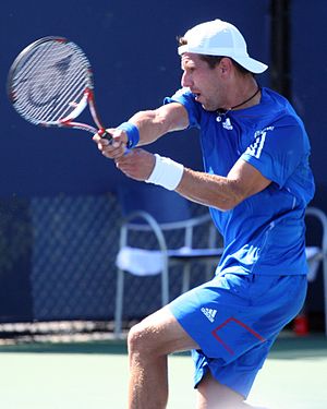 Jürgen Melzer at the 2010 US Open 01.jpg
