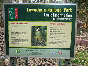 Imagen del Parque Nacional de Lawachara, situado en Bangladesh, uno de los hábitats de la 'Lycodon zawi'.