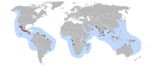 Distribución de Lepidochelys olivacea. Círculos rojos: áreas de puesta. Amarillos: playas de menor importancia.