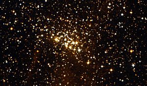 NGC7510WikiSky.jpeg