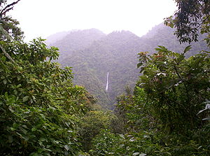 Panorámica del Parque Nacional Tapantí